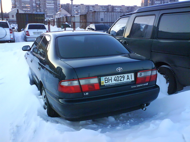 DSC00057.jpg