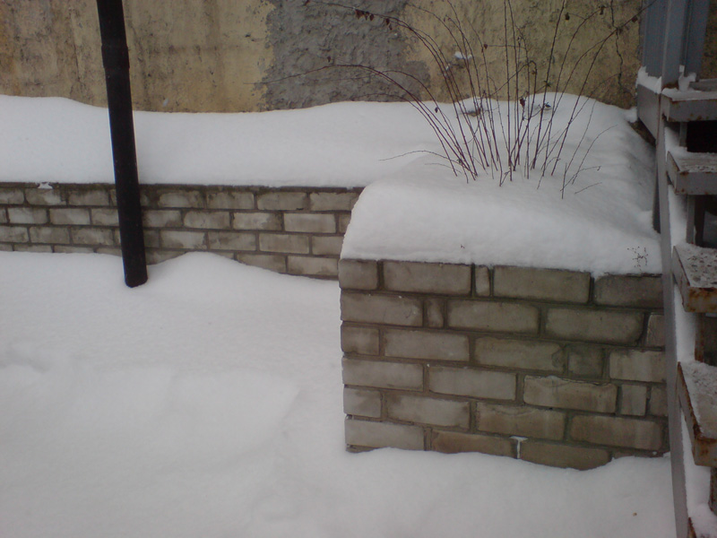 DSC01821.JPG