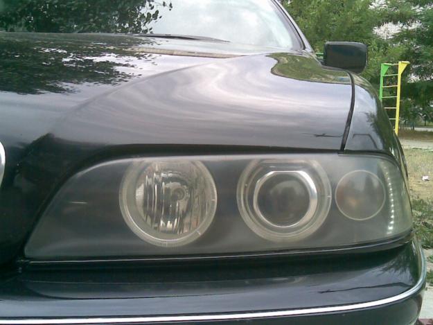 38007233_1.jpg