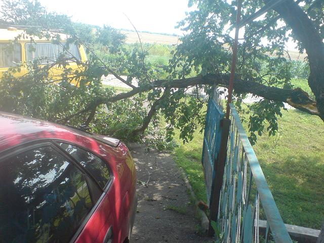 DSC00856.JPG