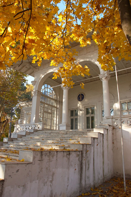 DSC_2862-(копия)800.jpg