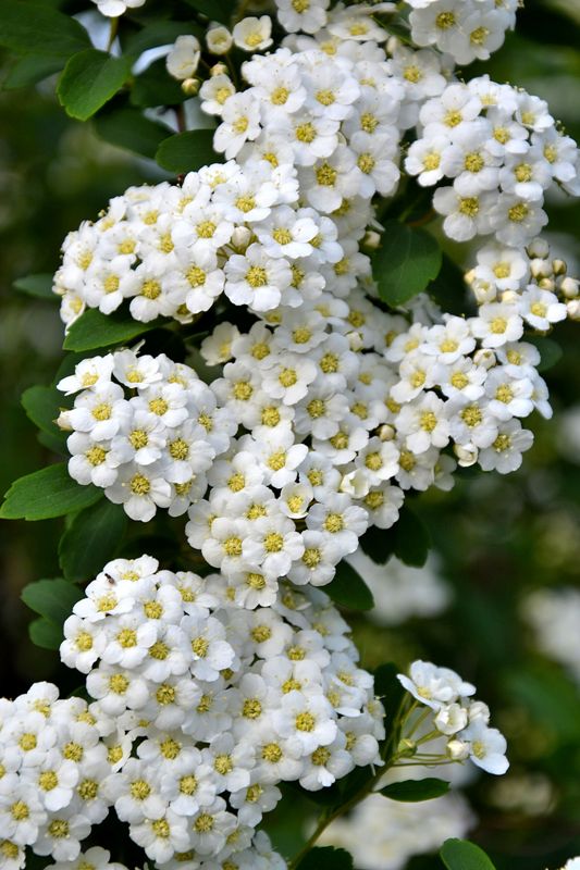 DSC_3874.JPG